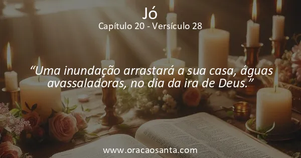 Jó 20:28