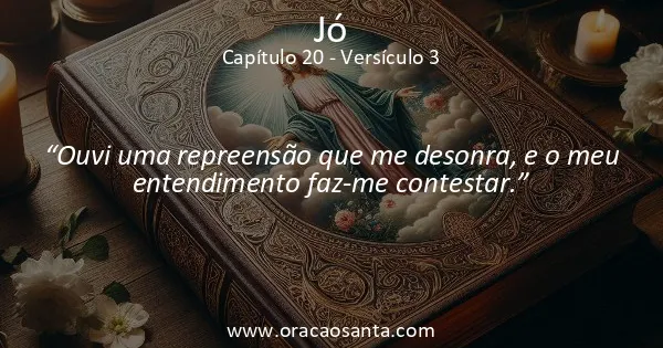 Jó 20:3
