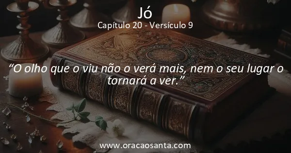 Jó 20:9
