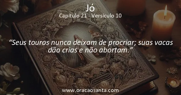 Jó 21:10