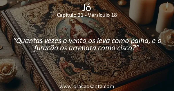 Jó 21:18