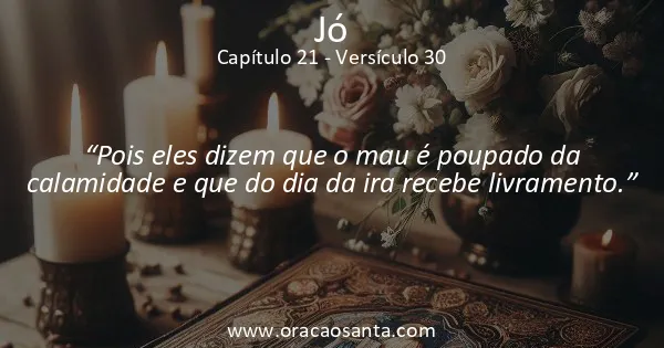 Jó 21:30