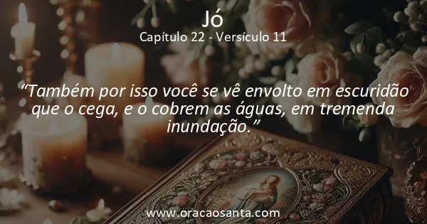 Jó 22:11