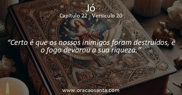 Jó 22:20