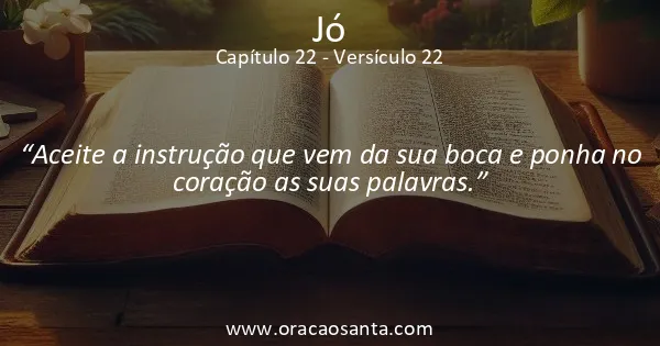 Jó 22:22