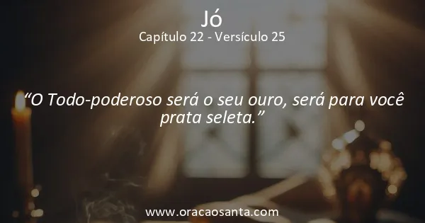 Jó 22:25