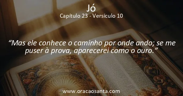 Jó 23:10