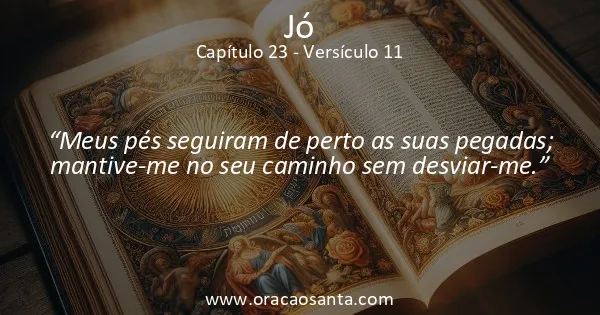 Jó 23:11