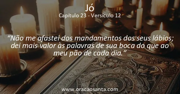 Jó 23:12