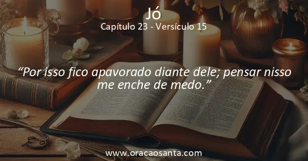 Jó 23:15