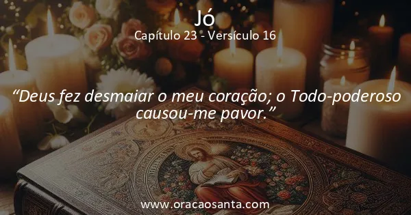 Jó 23:16