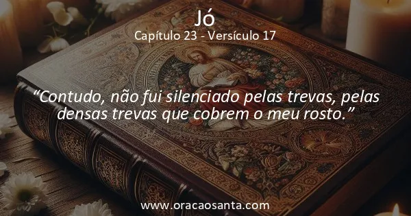 Jó 23:17