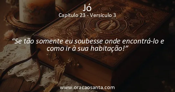 Jó 23:3
