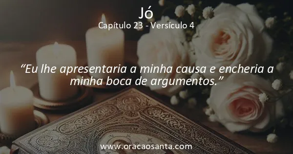 Jó 23:4