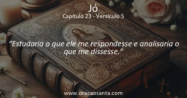 Jó 23:5