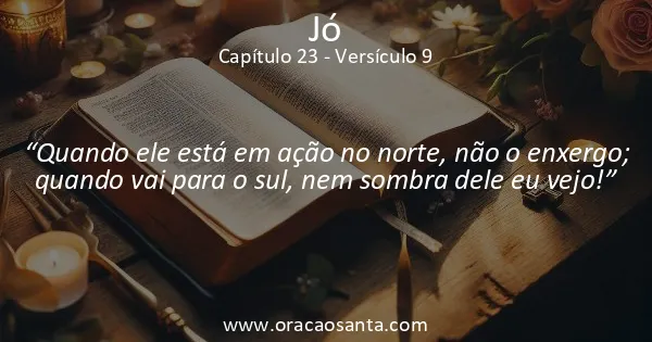 Jó 23:9