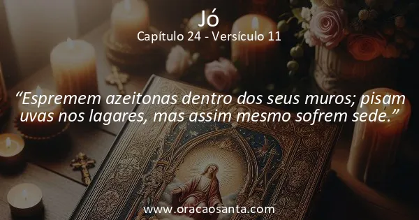 Jó 24:11