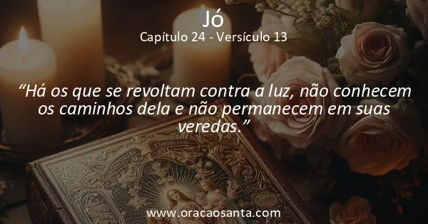 Jó 24:13