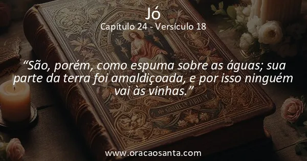 Jó 24:18