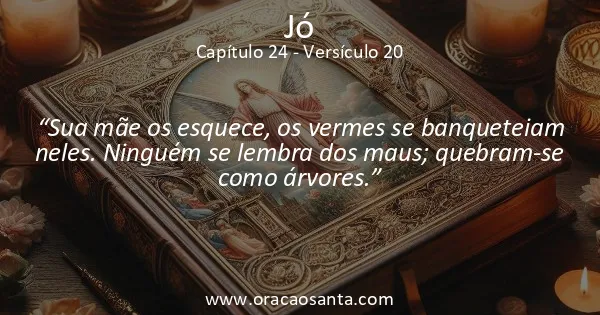 Jó 24:20
