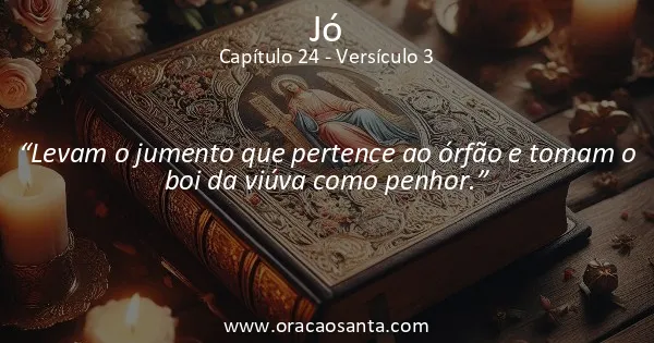 Jó 24:3