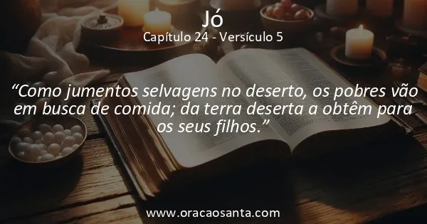 Jó 24:5