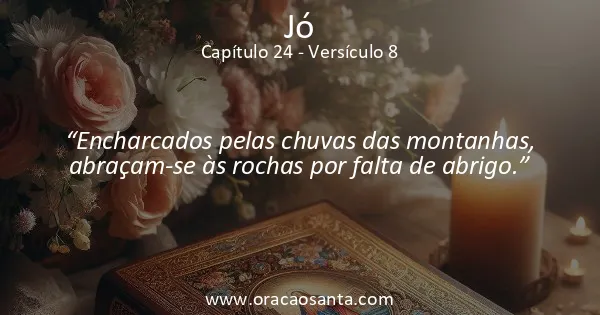 Jó 24:8