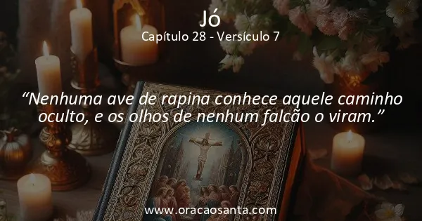Jó 28:7