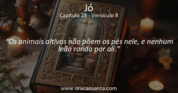 Jó 28:8