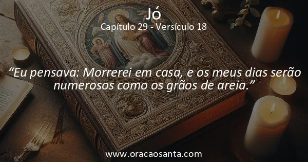 Jó 29:18