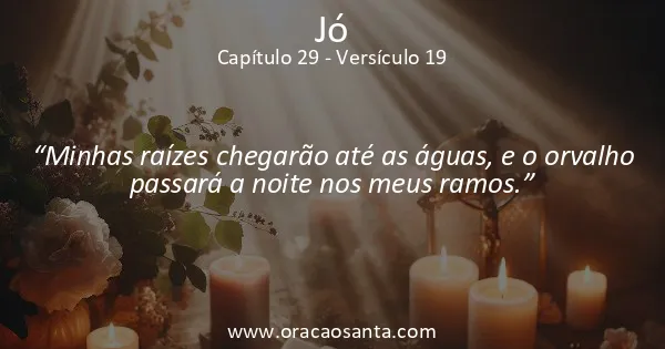 Jó 29:19