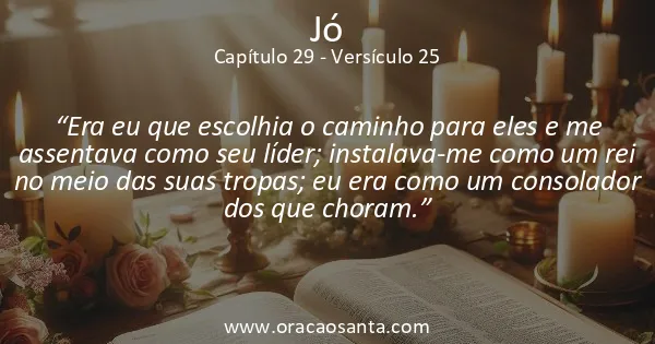 Jó 29:25