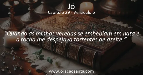 Jó 29:6