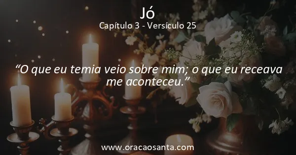 Jó 3:25