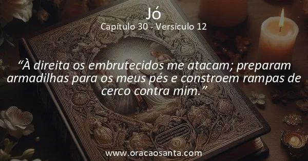 Jó 30:12