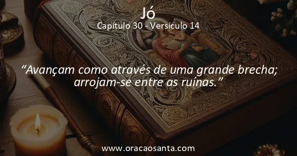 Jó 30:14