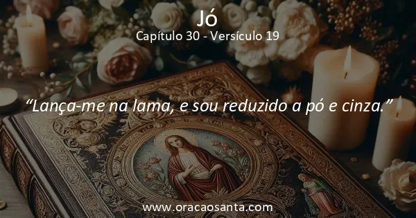 Jó 30:19