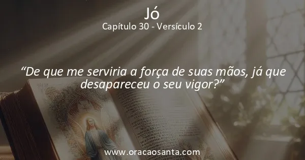 Jó 30:2