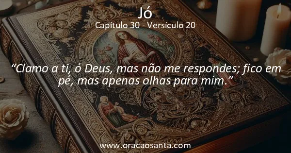 Jó 30:20