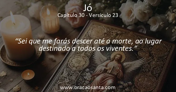 Jó 30:23