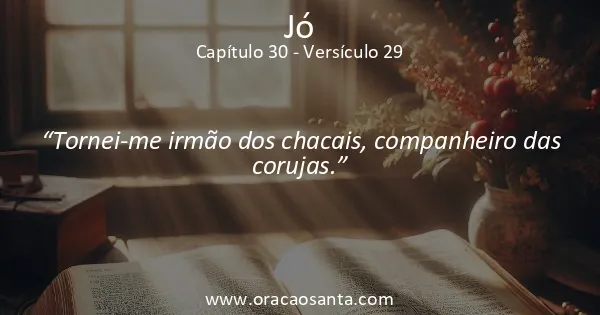 Jó 30:29