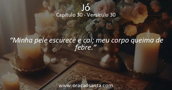 Jó 30:30