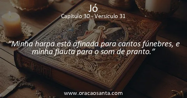 Jó 30:31