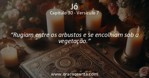 Jó 30:7