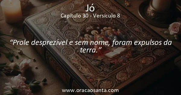 Jó 30:8