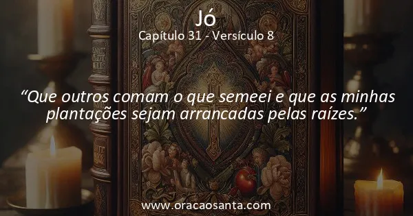 Jó 31:8