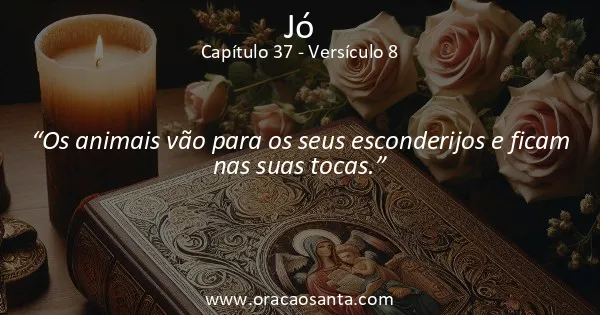 Jó 37:8