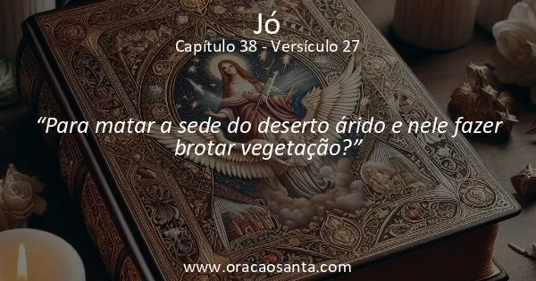 Jó 38:27