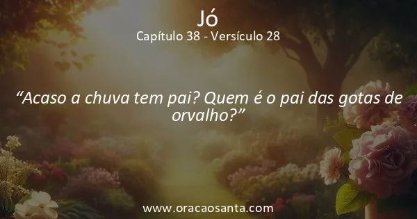 Jó 38:28