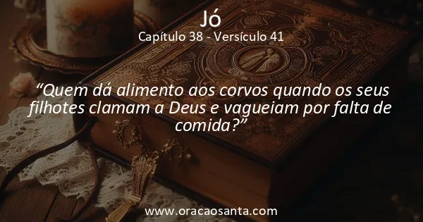 Jó 38:41